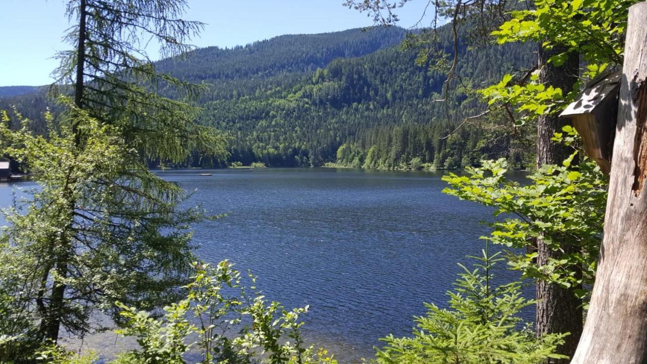 Ferienwohnung Grimmingblick - Auszeit Vom Alltag Obersdorf Esterno foto