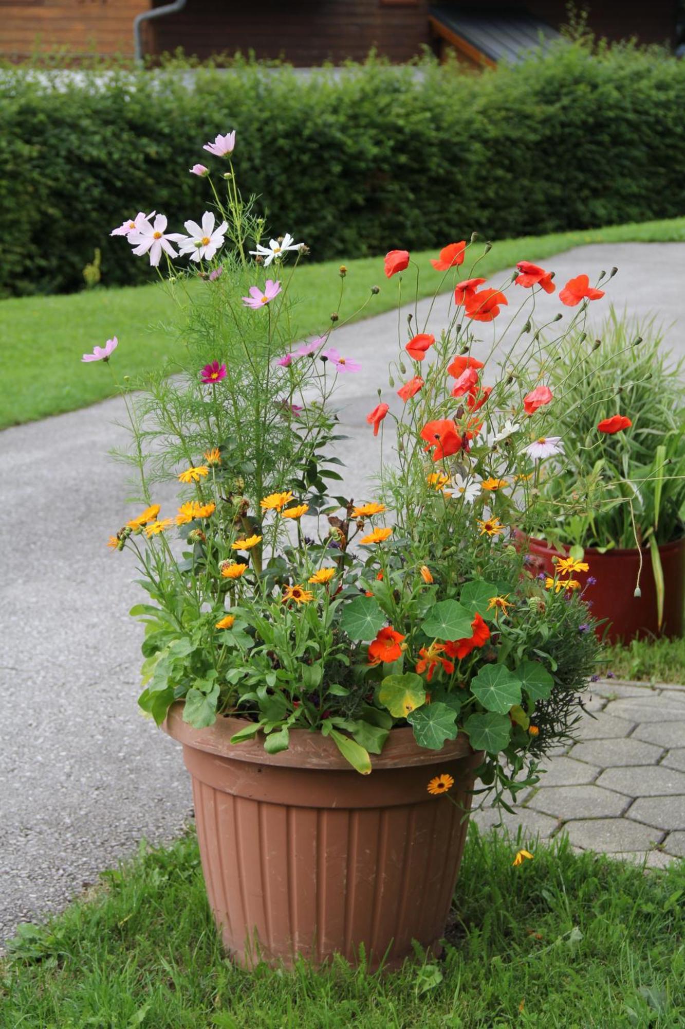 Ferienwohnung Grimmingblick - Auszeit Vom Alltag Obersdorf Esterno foto